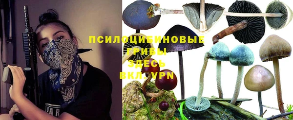 прущий лед Гусев