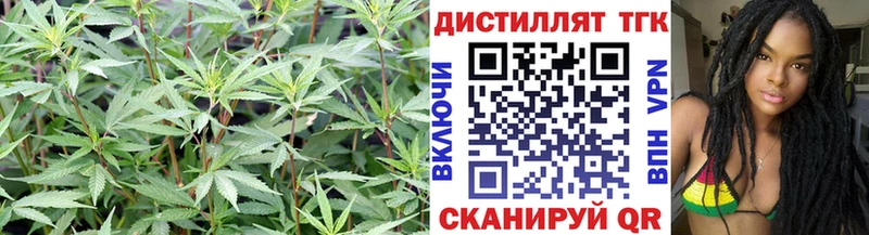 Купить закладки  Козьмодемьянск  Дистиллят ТГК THC oil 